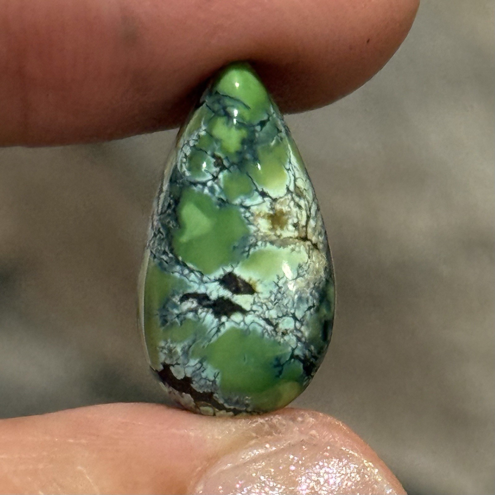 10.7ct 18.9×10.5×7.5mm Green Qingu Mine Turquoise Teardrop Cabochon Backed Stone