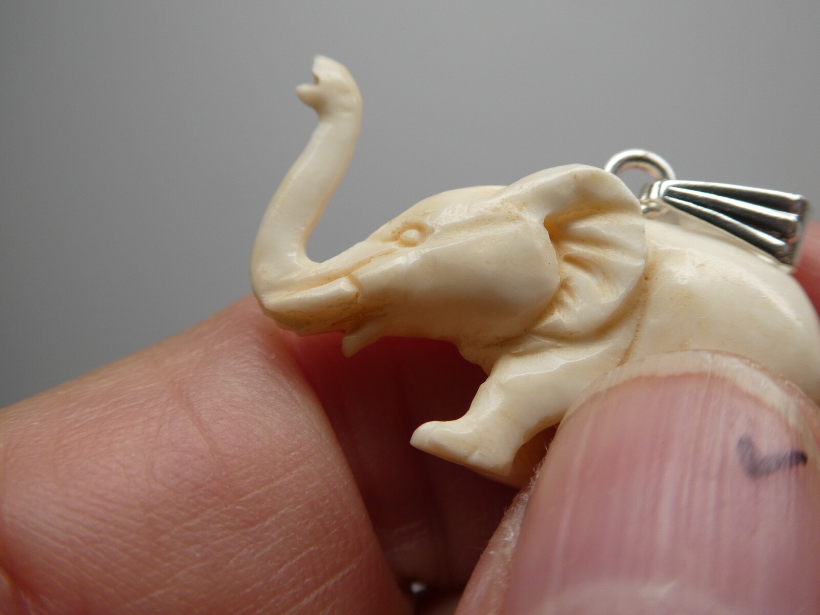 ELEPHANT Carved Water Buffalo Bubalus Bubalis Bone Pendant Necklace With Cord