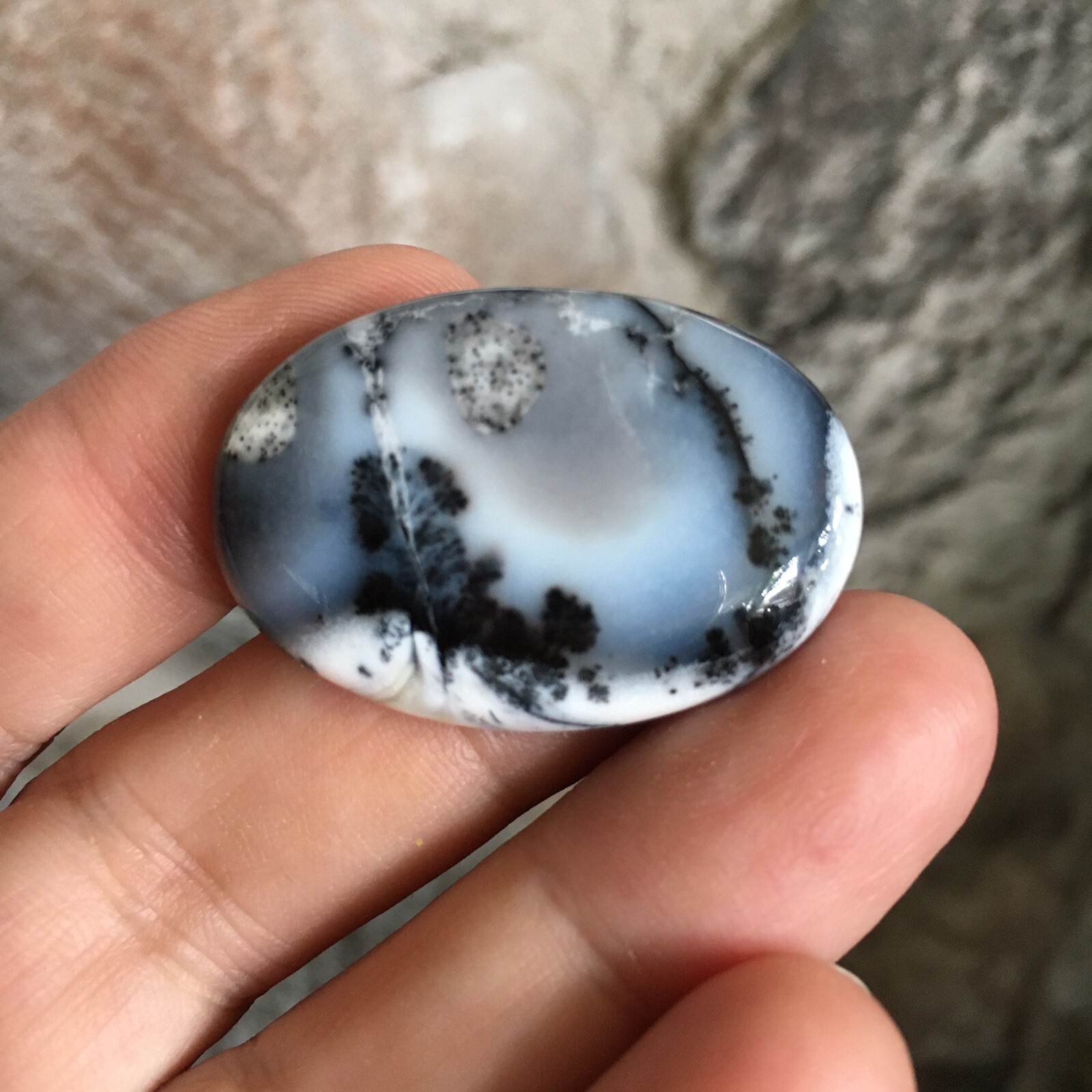 35x24x6mm Picture Like Dendrite Opal Oval Cabochon Loose Gemstone