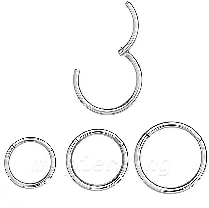 2x 20G 18G 16g 14G Hinged Segment Ring Surgical Steel Ear Cartilage Septum Ring
