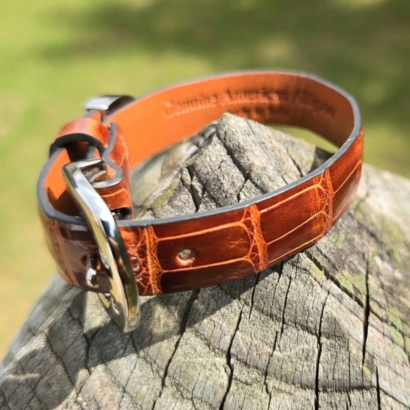 Tardini Genuine Alligator Leather Buckle Bracelet NIB