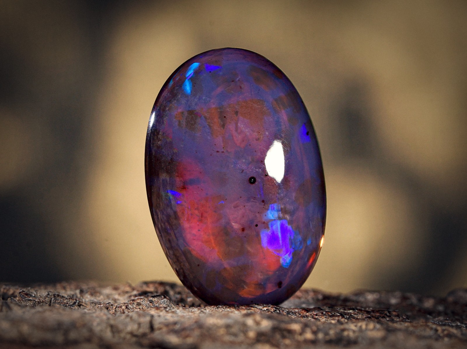 3.45 Ct Ethiopian Black Opal Oval Cabochon Honeycomb Fire Welo 15x10x4 mm