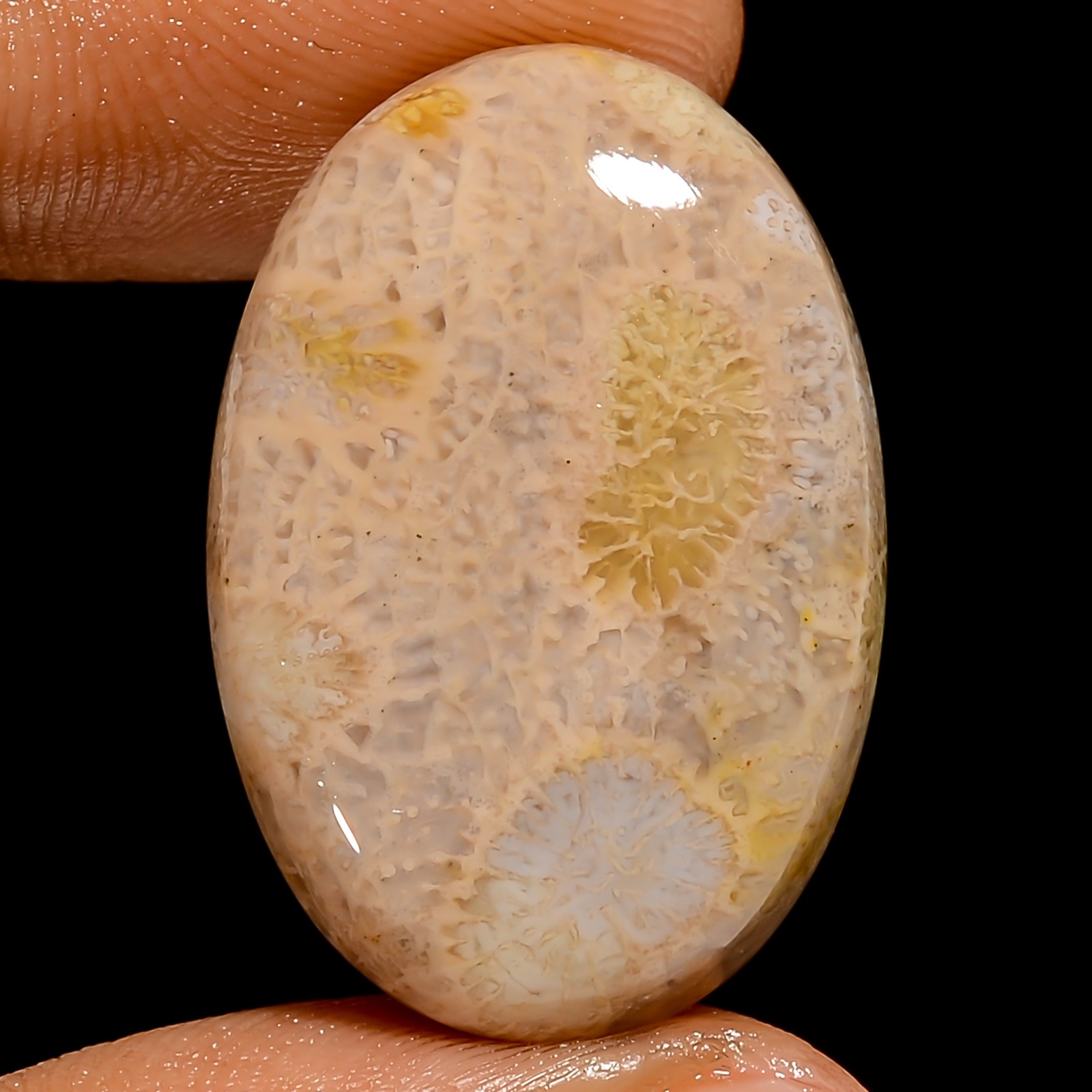 100% Natural Fossil Coral Oval Shape Cabochon Gemstone 26 Ct 26X18X6 mm GC-42561