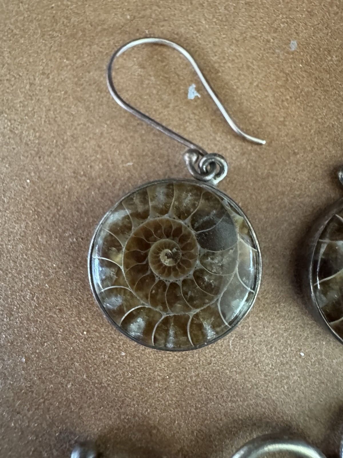 925 Silver Natural Ammonite Fossil Chain Bracelet & Earrings