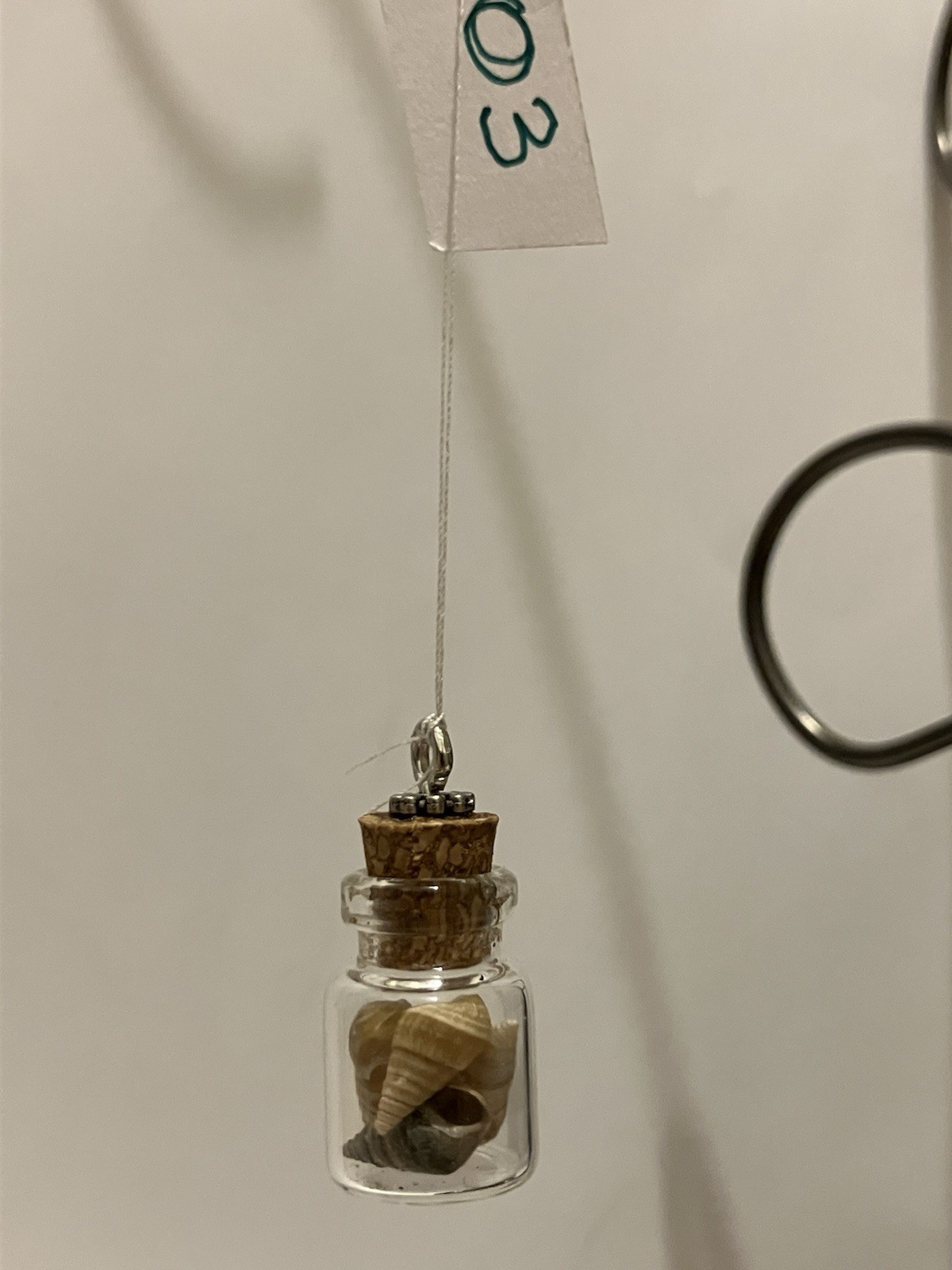 Mini Clear Glass Bottle Ornament w/ Cork Stopper & Shell Inside, Christmas