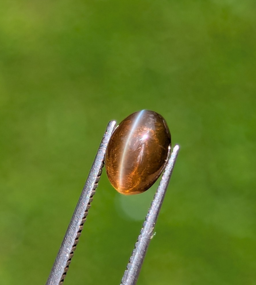 Natural Chrysoberyl Cat’s Eye 1.35ct Honey | Sharp Eye | Glass Body Ceylon