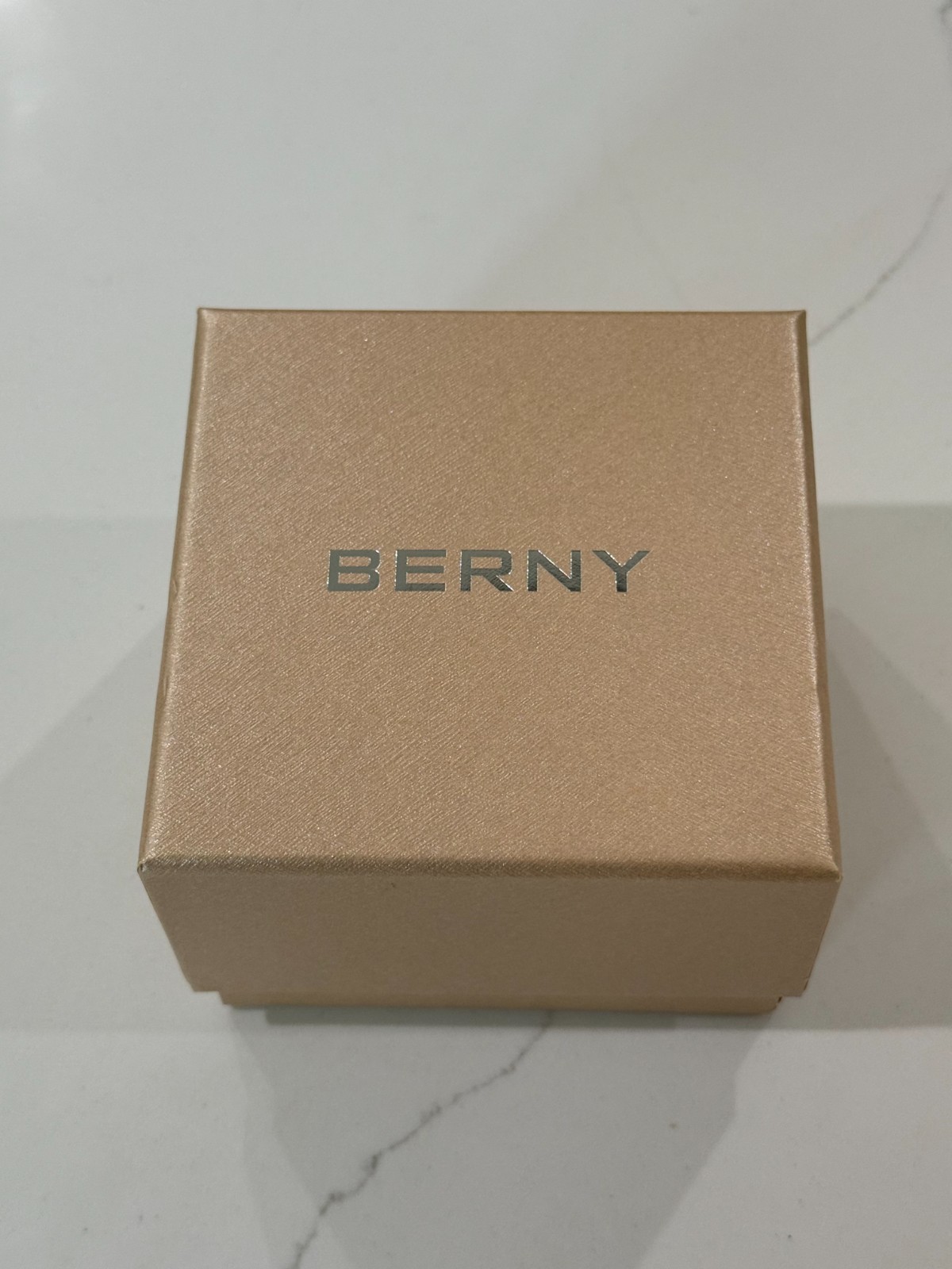 BERNY Men’s Diving Watch