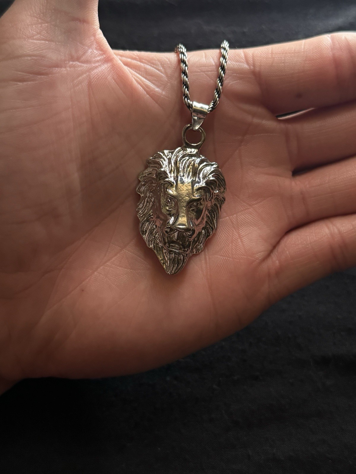 Silver Tone Lion Head Charm Pendant Necklace Rope Chain Metal No Stone
