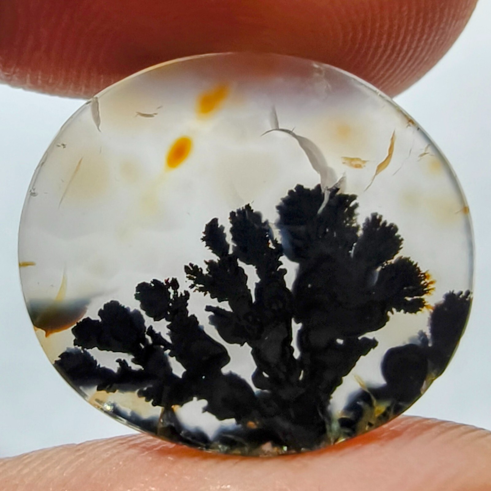 6.70 Cts Natural Shazar Dendritic Agate Cabochon Gemstone 19.1×16.6×2 MM 281
