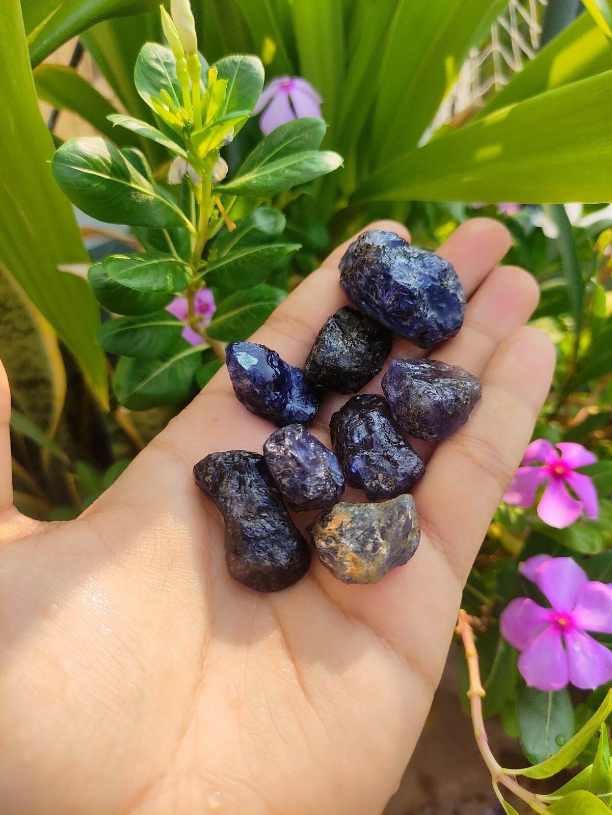 Large Iolite Chunks – Raw and Stunning