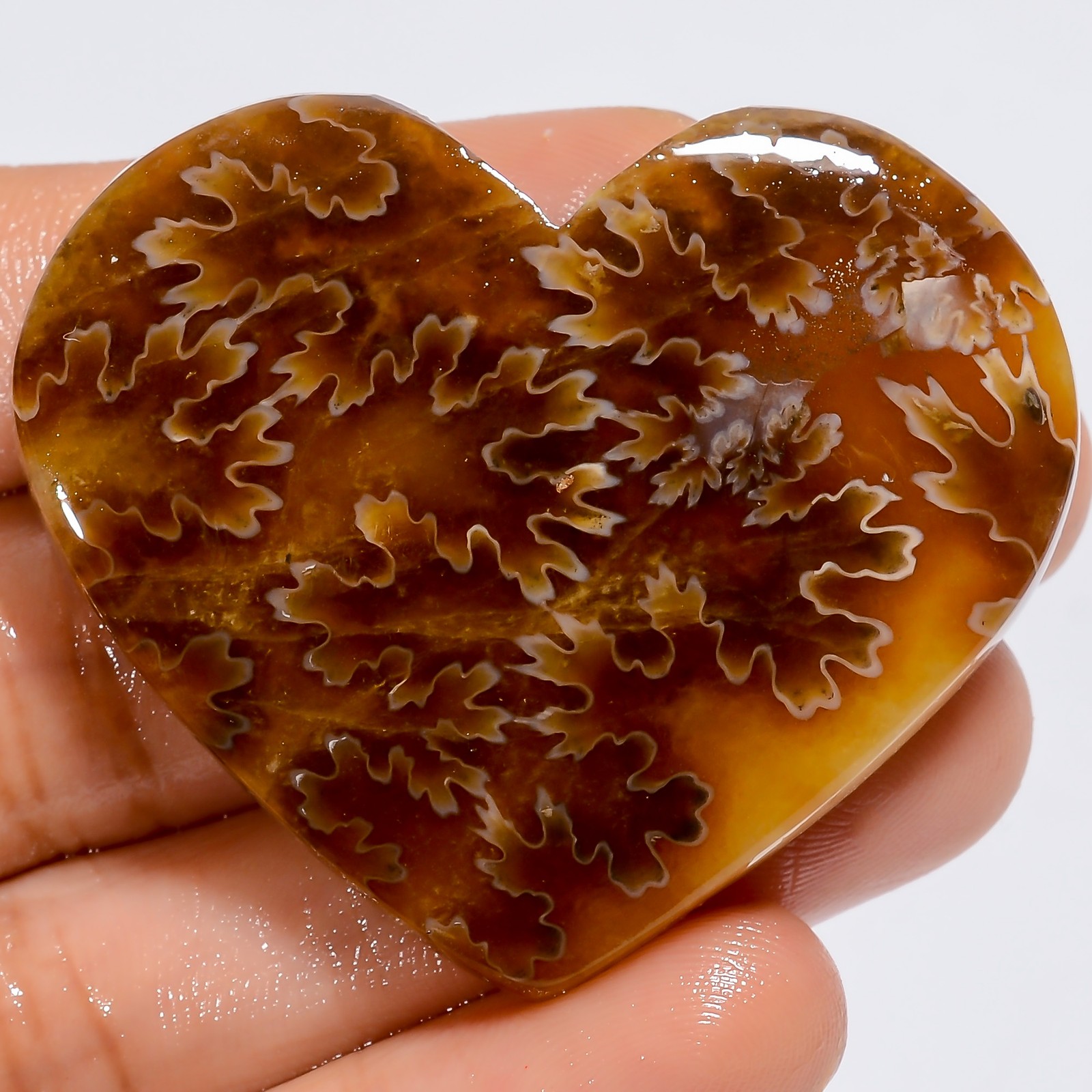 Authentic Ammonite Heart Shape Cabochon Loose Gemstone 105 Ct. 40X48X7 mm
