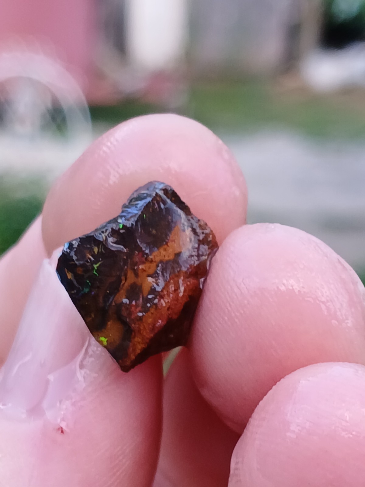 Australia Boulder Opal Koroit R313 Specimen 11 Carat Blue Green