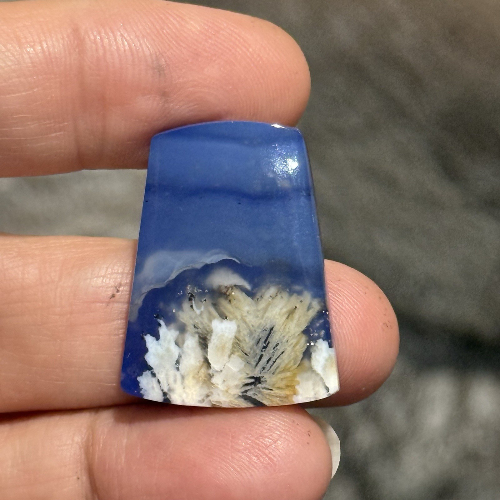 32.3ct 28x21x5mm Flower Plume Agate And Lapis Lazuli Doublet Cabochon Gem