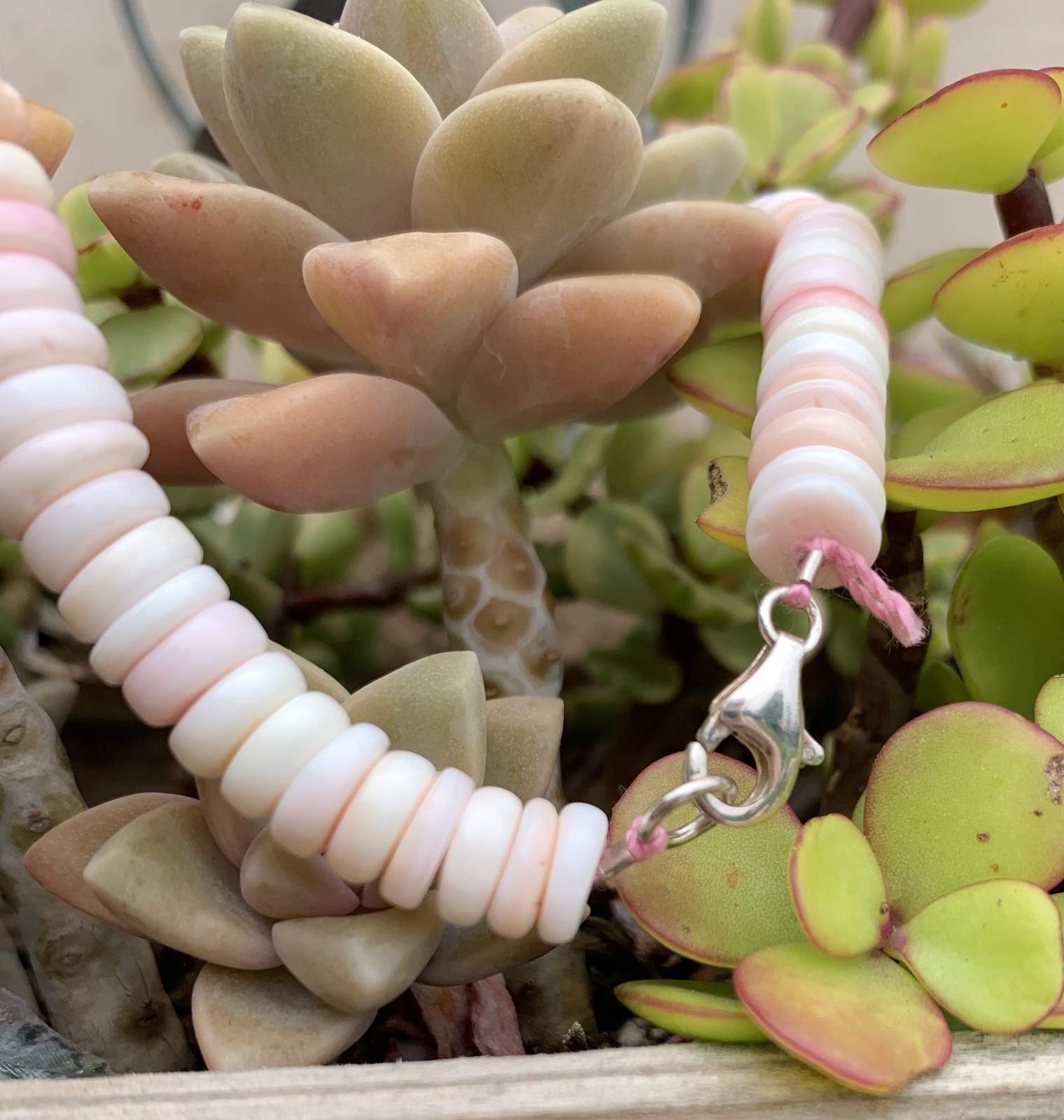 Pink, Peach, Cream and White Conch Large Beaded Shell Necklace, Just Made