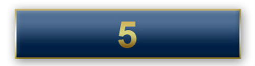New “5 Years of Service” Blue Citation Bar Lapel Pin
