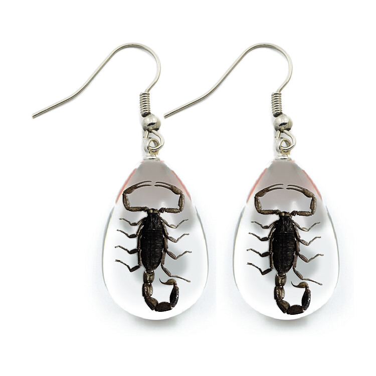 NEW Real INSECT Black SCORPION EARRINGS Teardrop Clear Jewelry PENDANT Free Ship