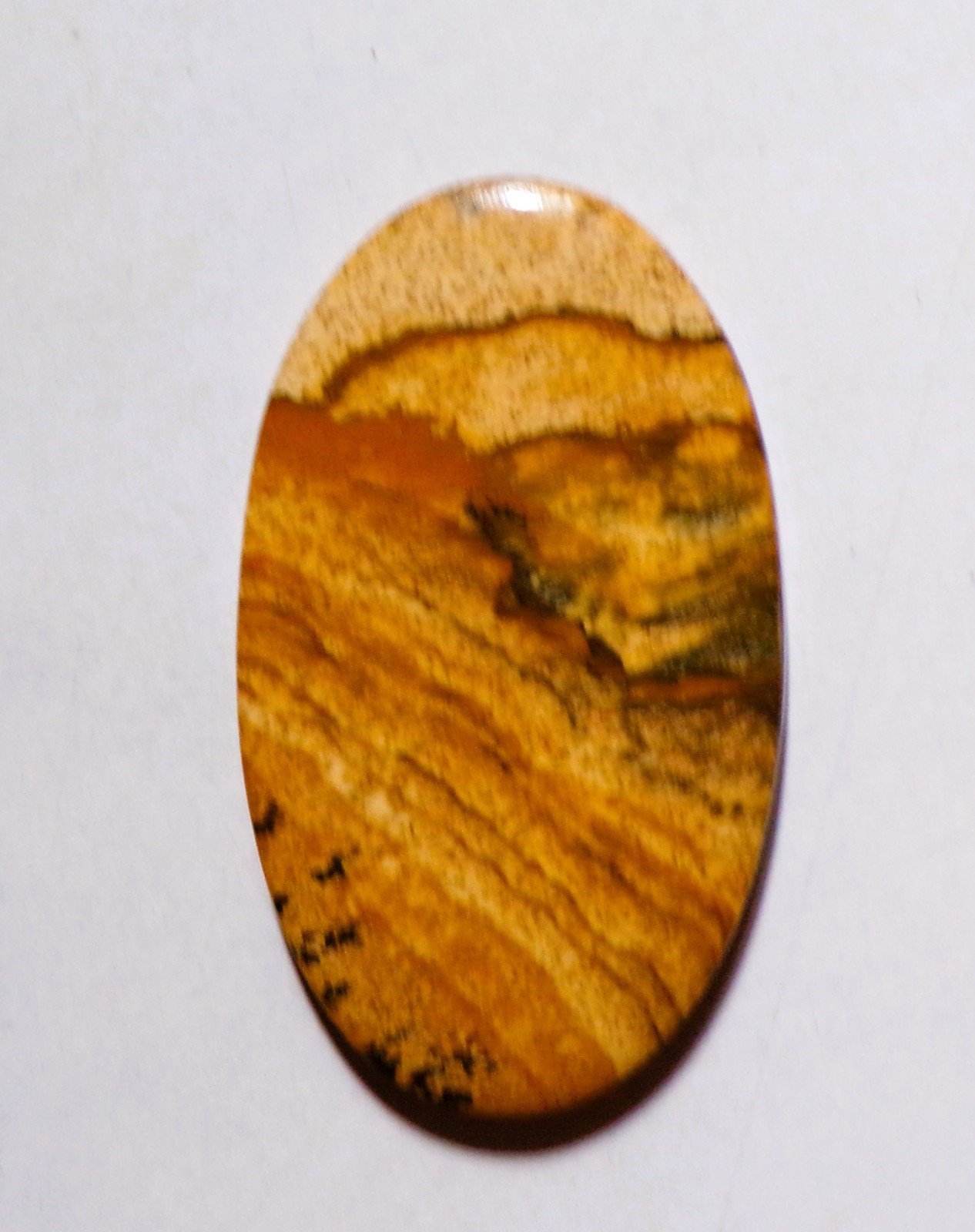 48.70 Cts Natural Picture Jasper Cabochon Loose Gemstone 45X26X5MM