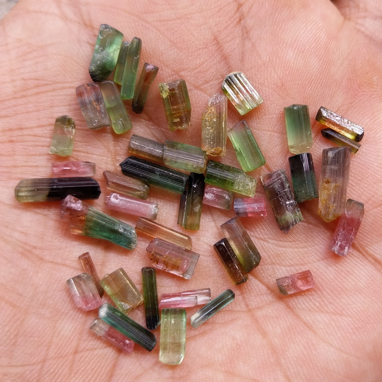 31.8 Ct 5 to 12.5 MM Natural Watermelon Bi Color Tourmaline Stick 43 Piece Lot