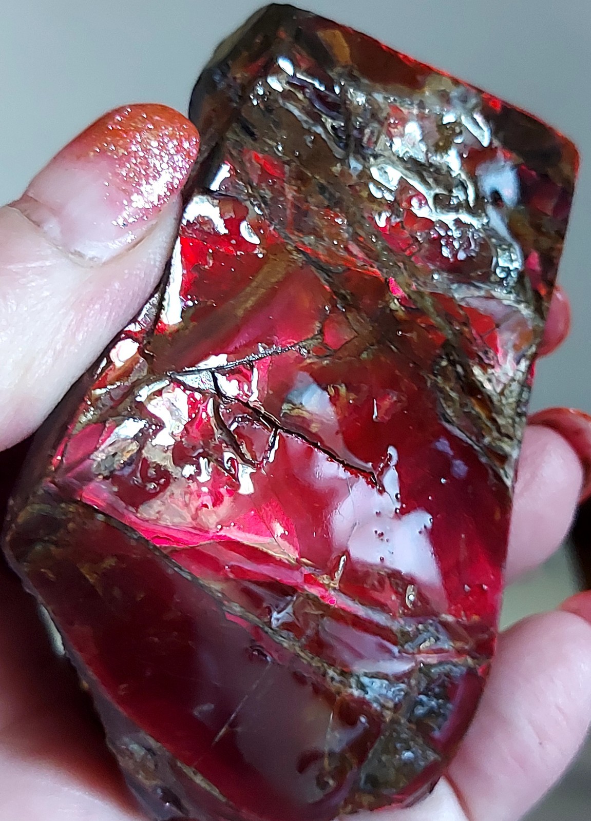 Ammolite Ammonite tabletop Display Piece Color Changer 77.6x50x24.7mm 5323