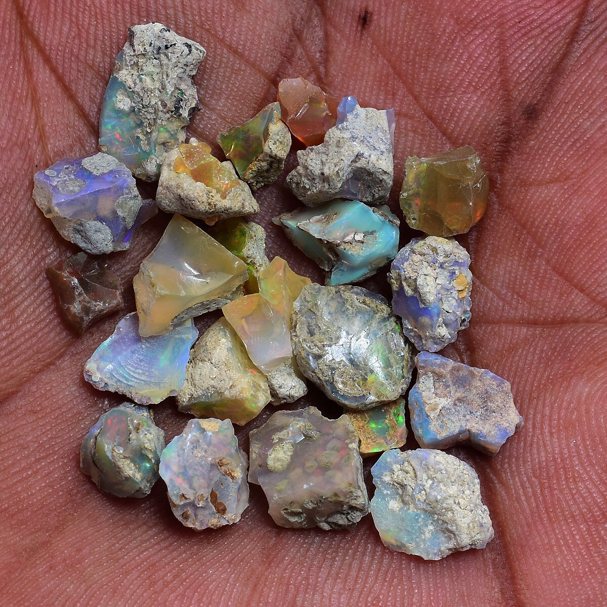 22 Pcs Natural Ethiopian Opal Rough 7mm-13mm Untreated Stunning Loose Gemstones