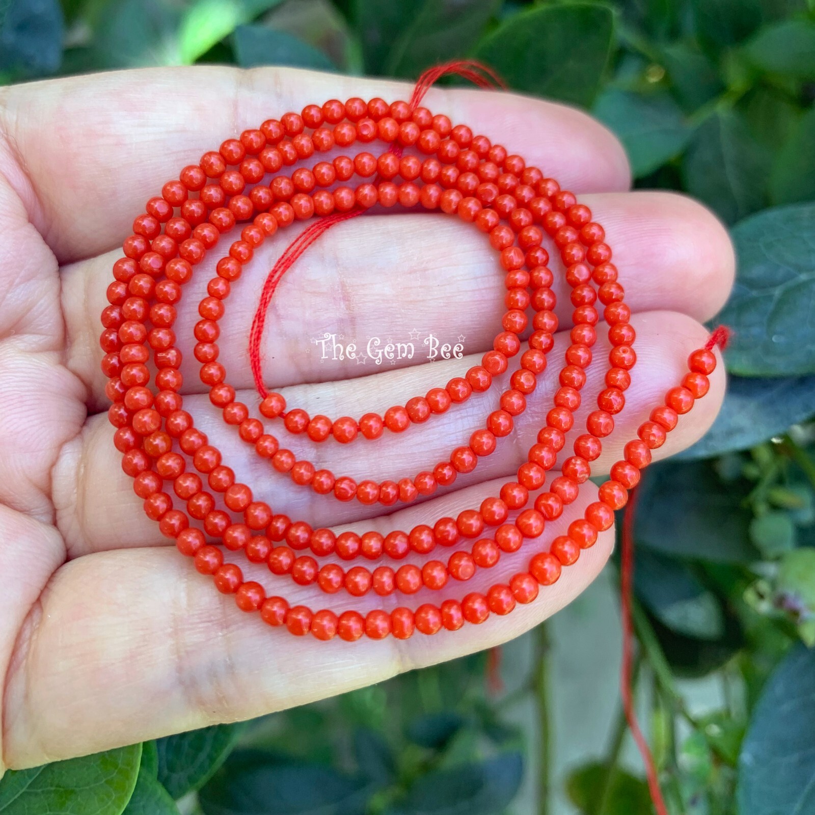2.5mm AAA Top Grade Italian Sardinia Undyed Tomato Red Seed Coral Round Bead 5″