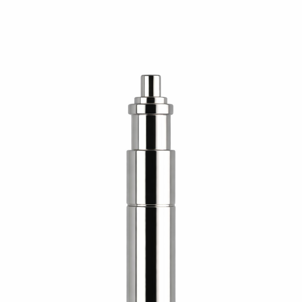 Rolex Explorer Spring Bars Premium Swiss Standard – One Pair
