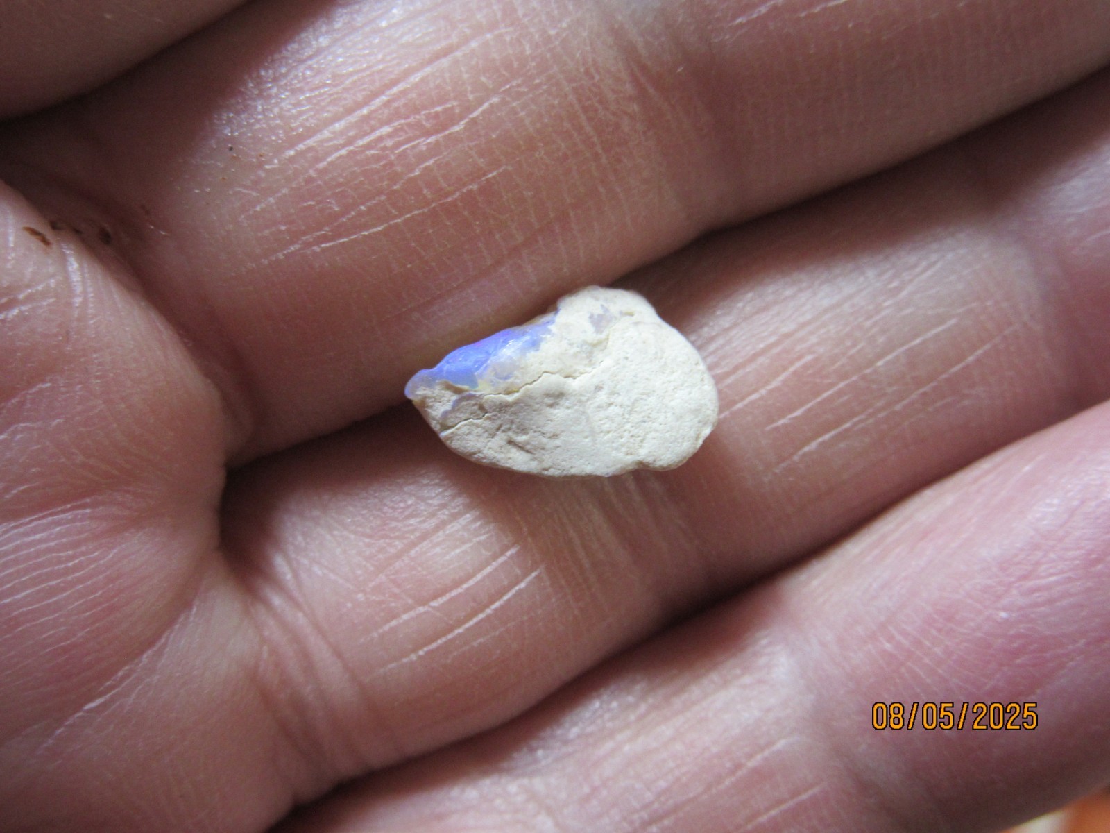 2 Pieces Australian Lightning Ridge Opal 7/16″ Rough Collectible TPALROR-1