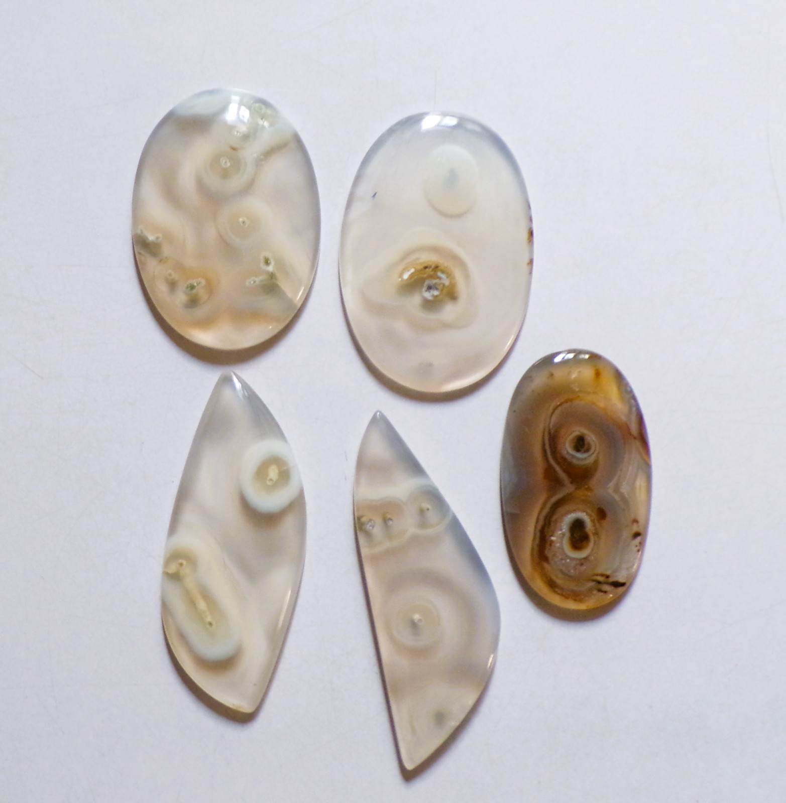 225.70 Cts Natural Orbicular Agate 05 Pcs Lot Loose Cabochon Gemstone 07