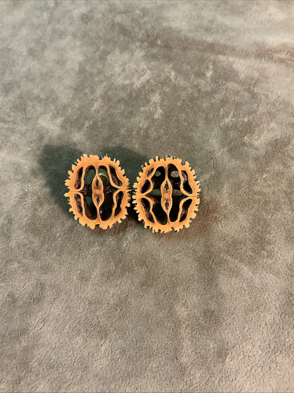 Vintage 1930S Black Walnut sliced wood earrings with Post Backs
