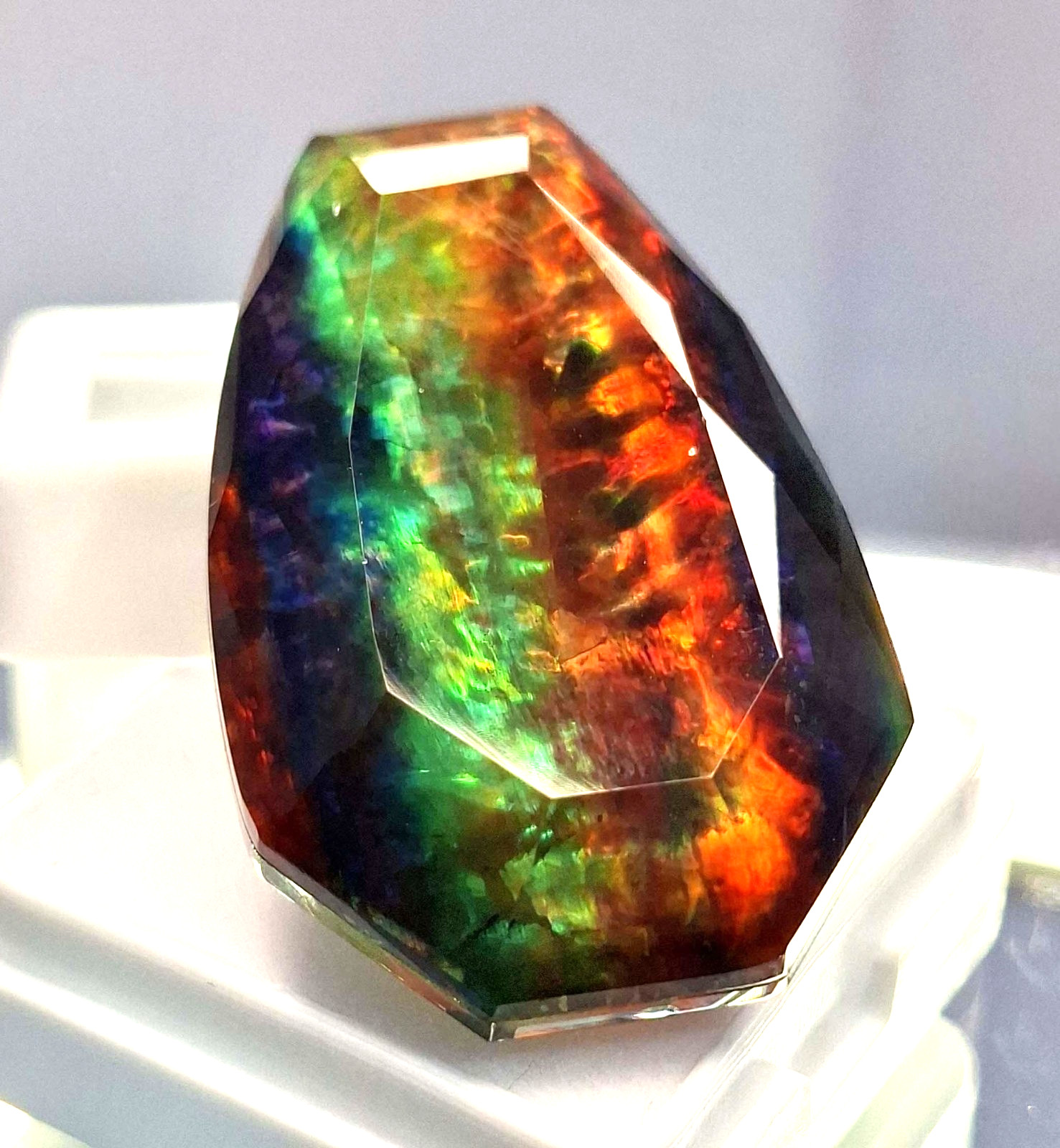 Opal Like Organic Ammolite Fancy Cut 62-64 Ct Natural Loose Gemstone RK914