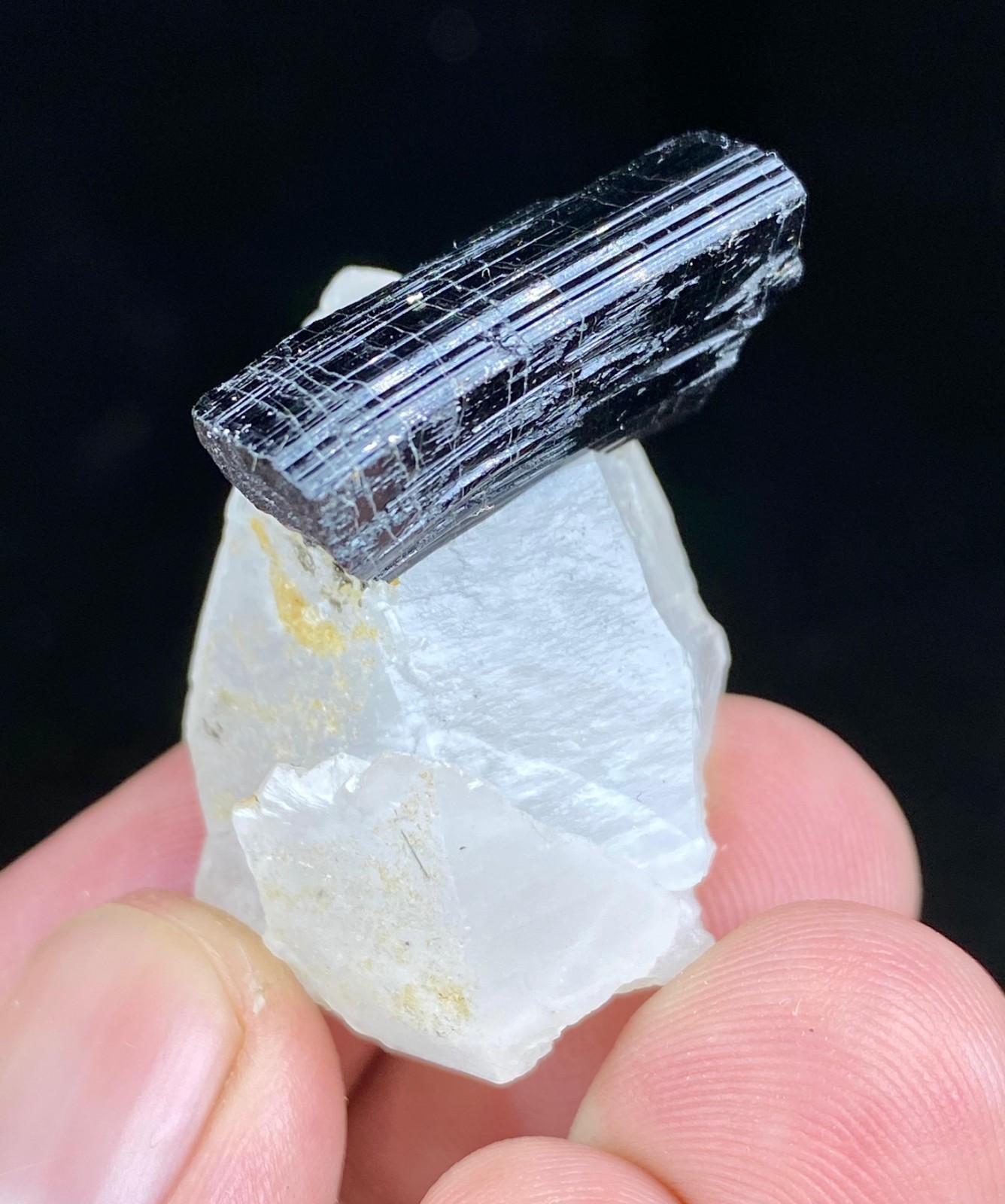 Natural Quardz With Black Tourmaline Crystal Specimen