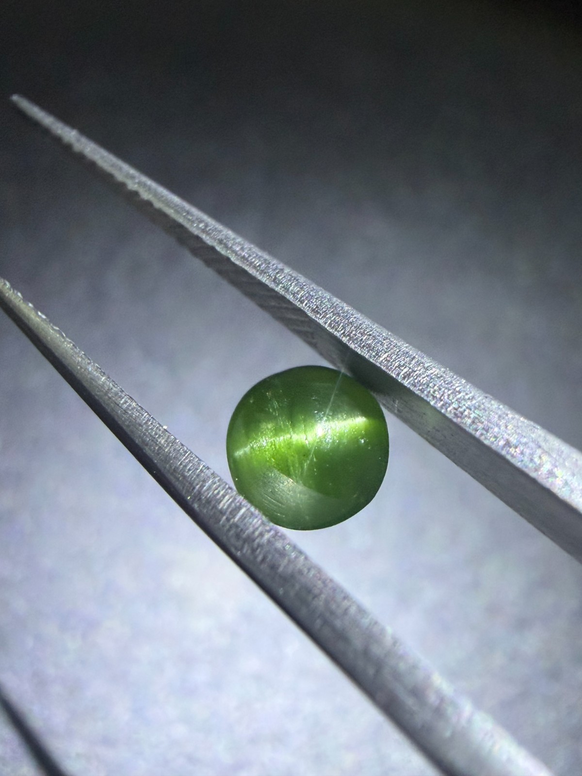 Natural Green Cats Eye Diopside 5.30X5.30×2.55 mm Round Cabochon