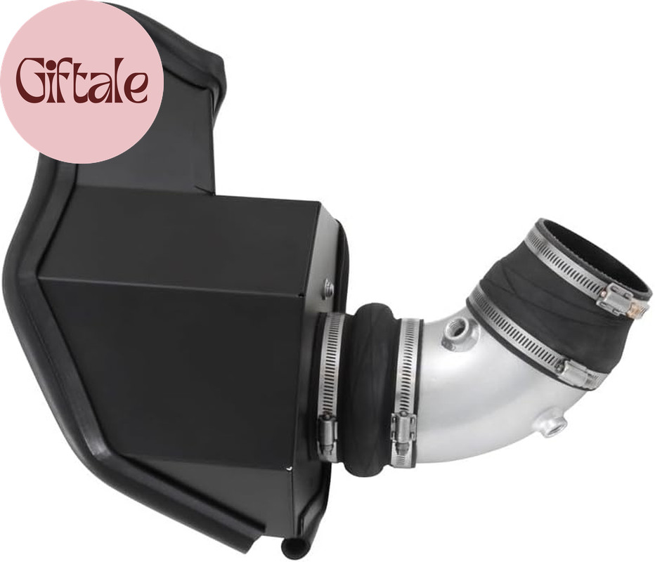 Cold Air Intake System: High-Flow Air-Filter, Increase Performance & Horsepower: