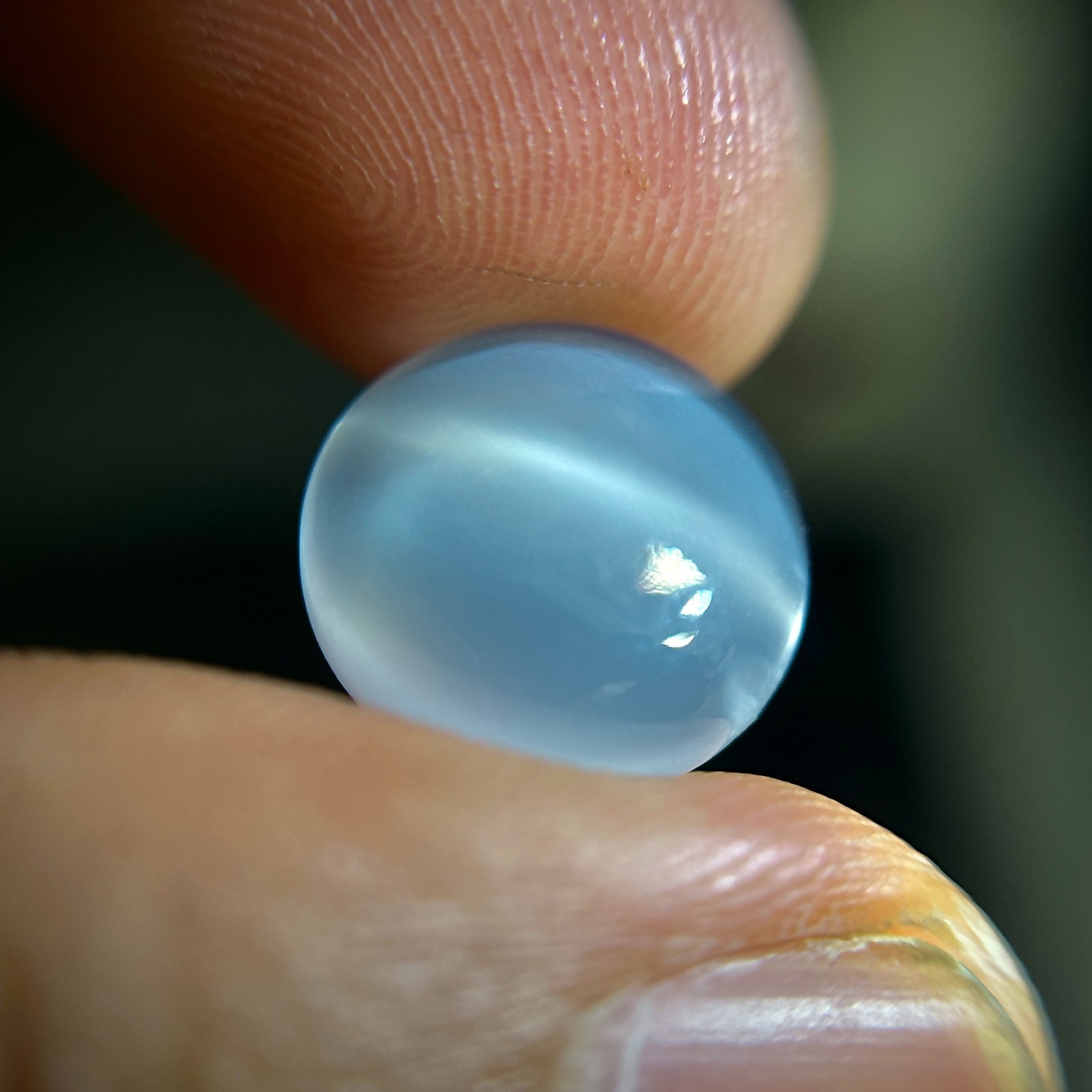 6.45 cts 1Pc Srilankan Natural CATSEYE MOONSTONE Gemstone Round Cab Certified