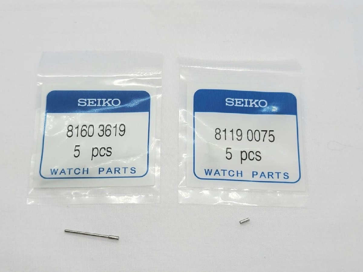 Seiko 81603619 81190075 Watch Link Pins and pipes set Silver SS From Japan