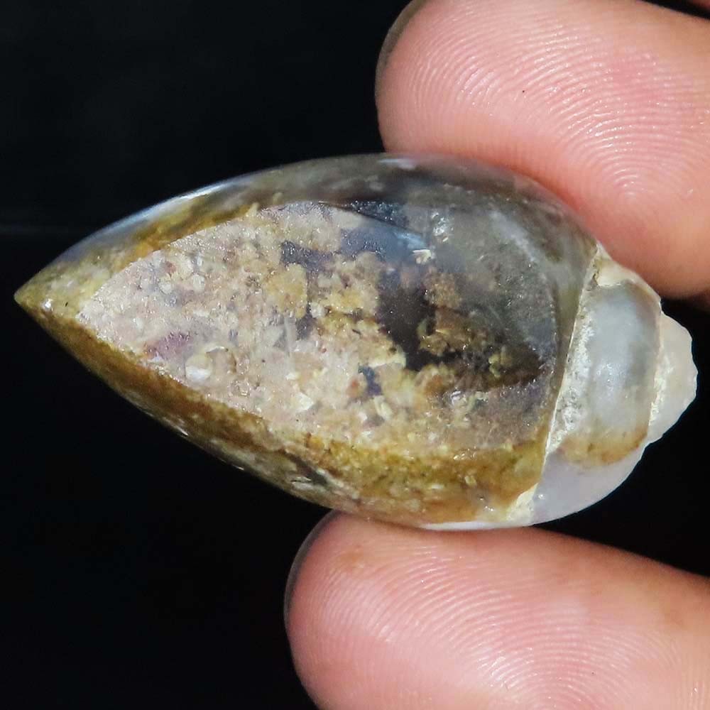 natural FOSSIL SNAIL DRUZY cabochon loose gemstone 87.45 Carat. (21x38x16 mm)