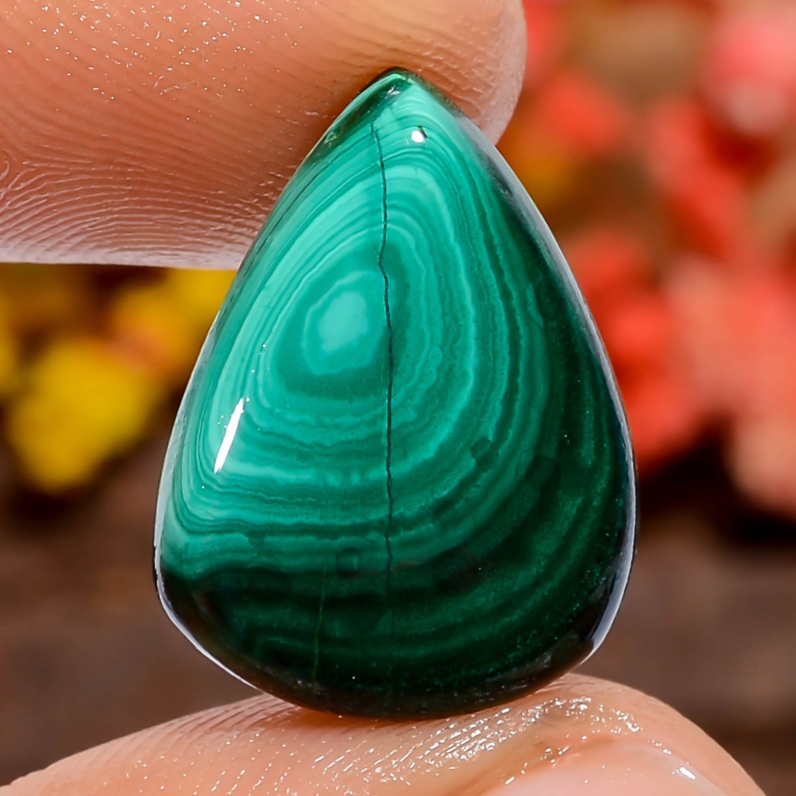 Natural Malachite Green Pear 16Ct 18X13X3mm Loose Gemstone Collector Africa