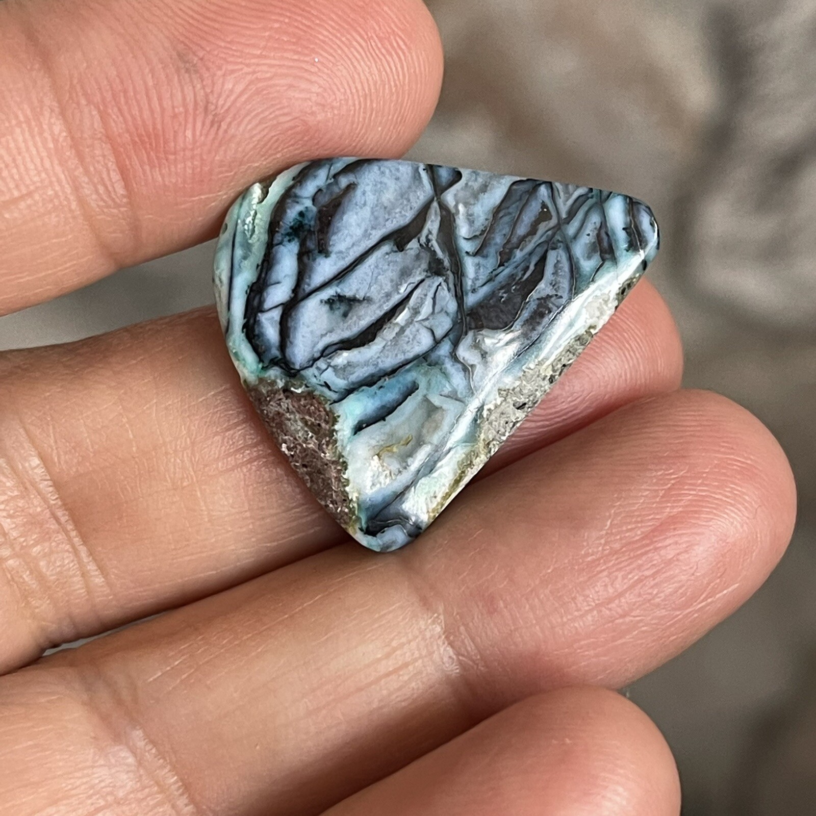 26.5×21.6x5mm Rare Agatized Wood Colorful Chrysocolla Cabochon Picture Stone