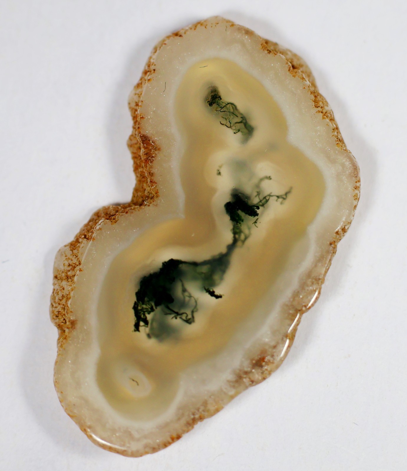 28 Ct 5X19X33 mm Top Natural Green Moss Agate Solar Polish Slice Gemstone KP-154