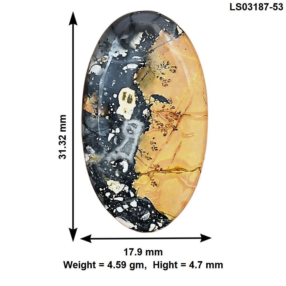 Natural Maligano Jasper 31.32×17.9×4.7 mm Oval Polished Gemstone LS03187-53