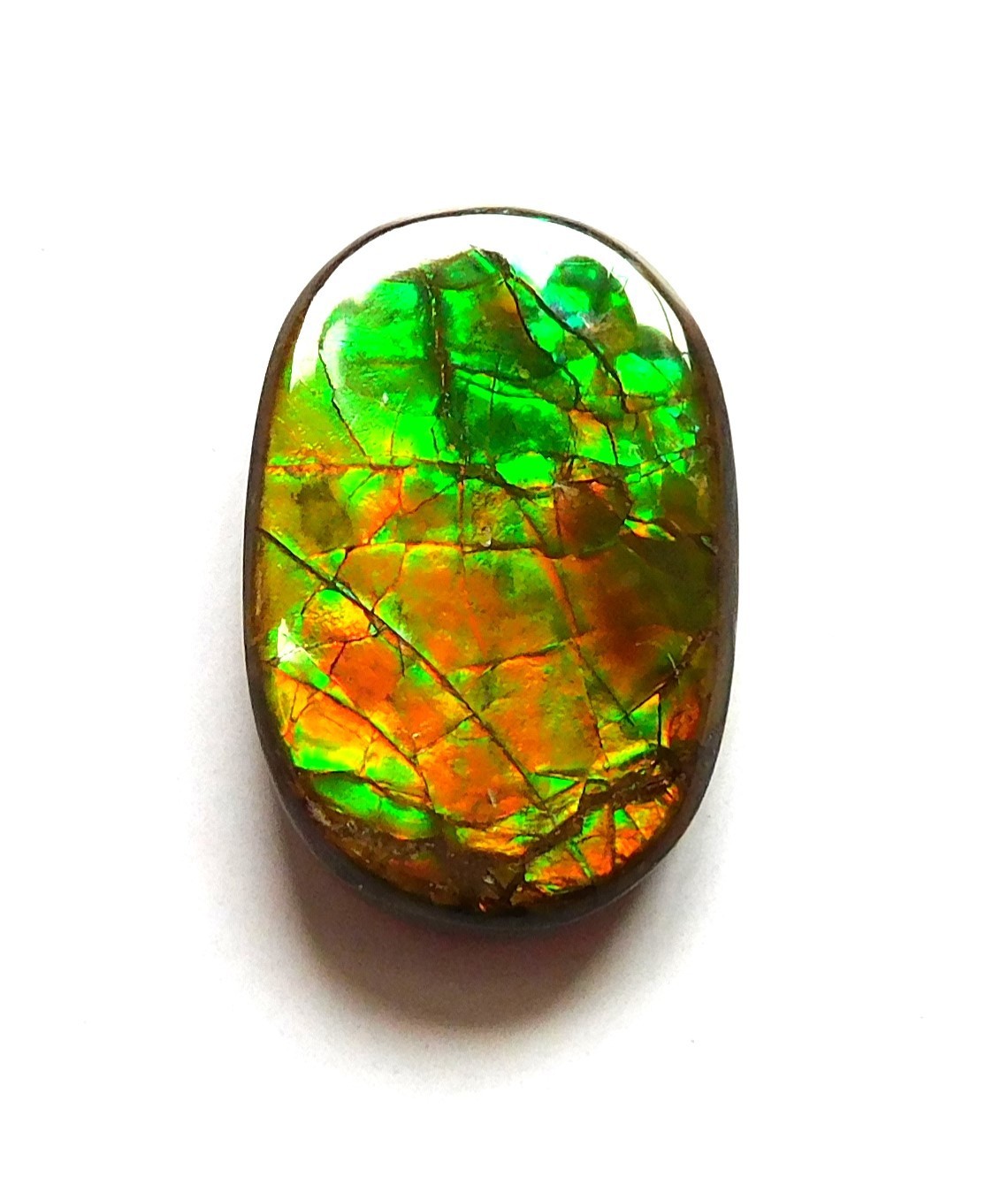 11.70 Ct Natural Canadian Ammolite Cabochon Loose Gemstone 18.4X12X4.4MM JK105