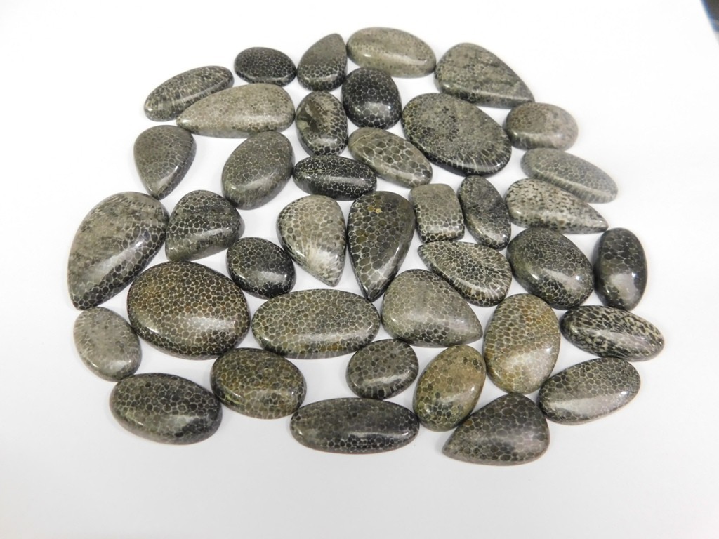 Natural Black Fossil Gemstone Cabochon, Best For Unique Jewelry Creation 71302