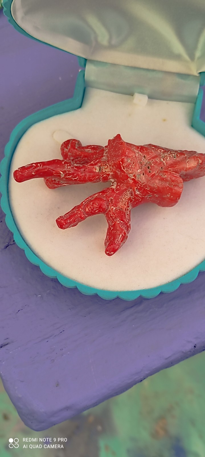 Natural Red Coral of Sardinia