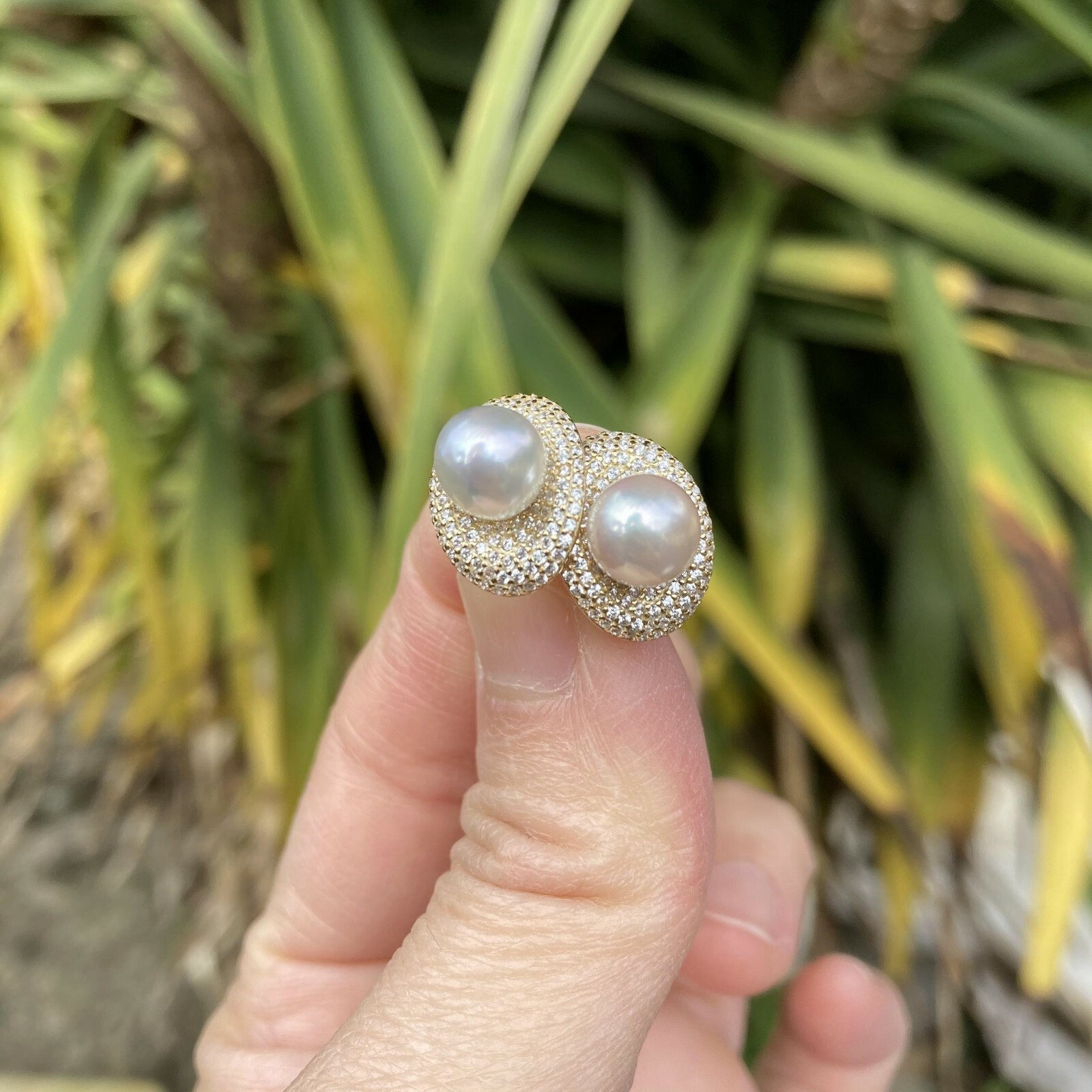 7-7.5mm AAAA+ Akoya seawater Grey Pearl Sterling silver S925 stud 14.9x11mm #192
