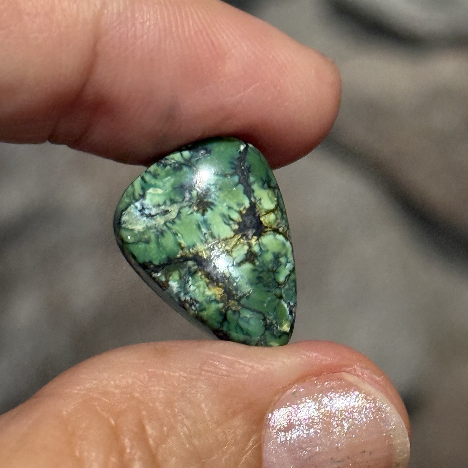 9.35ct 18.4×13.9x5mm Green Qingu Mine Turquoise Cabochon Backed Stone