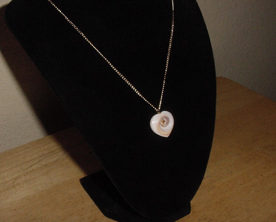 Tribal Heart Pendant-Tan & Cream Sea Shell on 18″ Gold Tone Necklace Chain-NICE