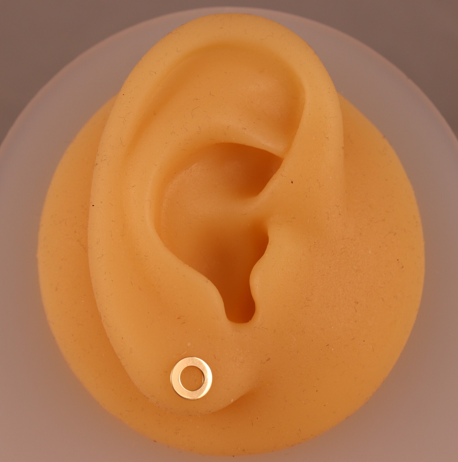 Genuine 9ct Gold Open Circle Stud Earrings 7mm Diameter a Pair Gift Boxed