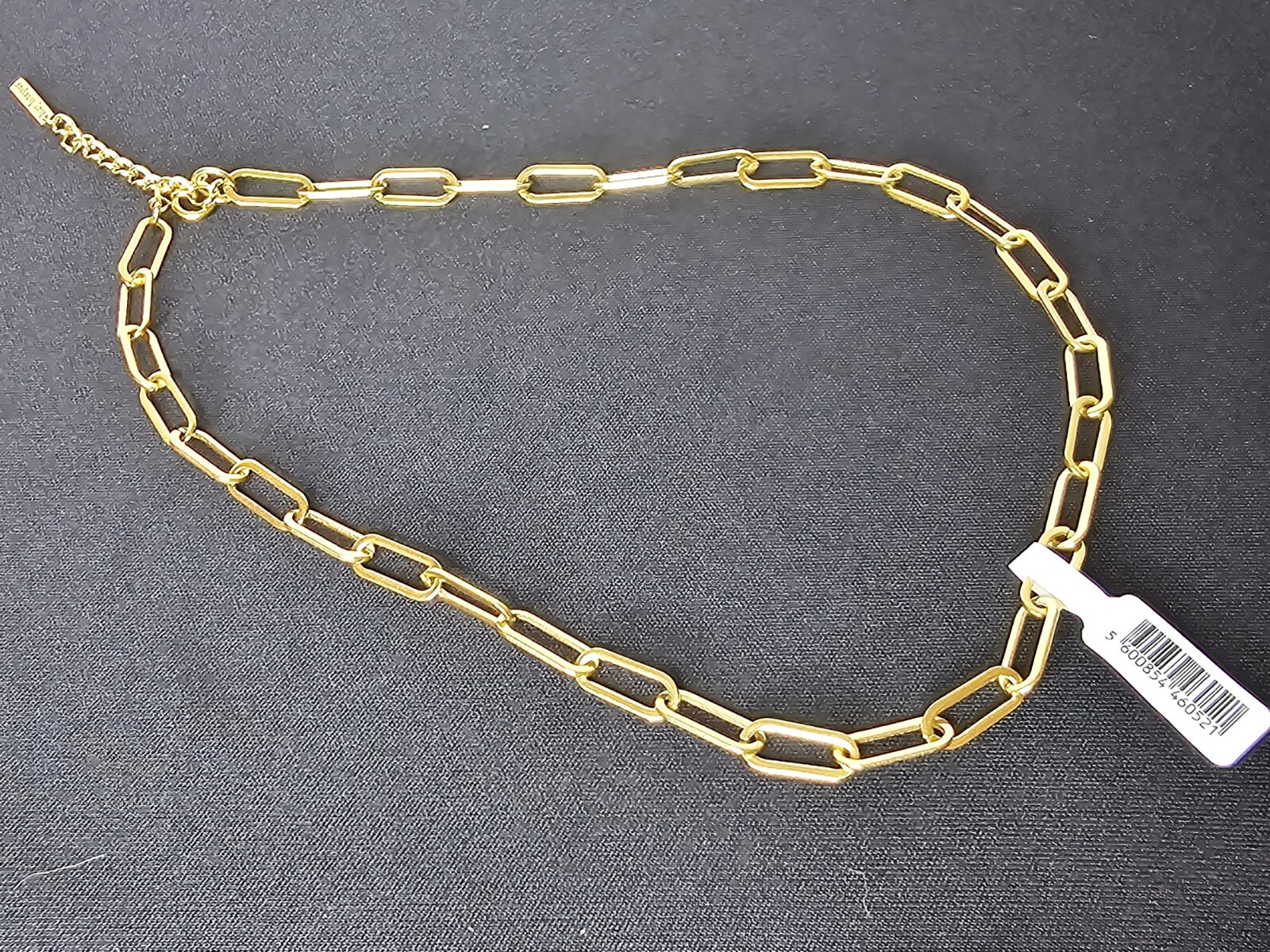 Hey Harper Gold Plated Paper Clip Chain Necklace Women’s 41cm-46cm