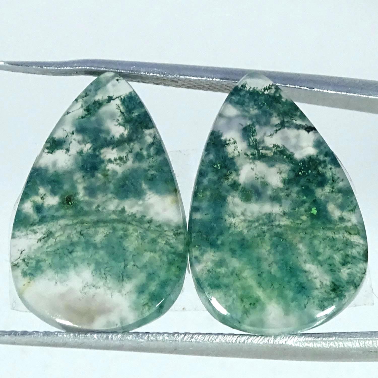 13.20Cts Natural Moss Agate Pair Pear Cabochon Gemstone 13X19X3MM