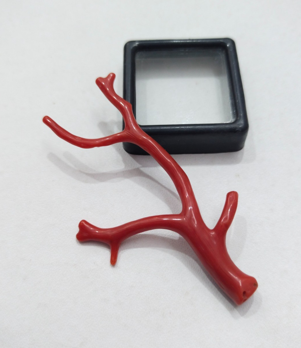 Genuine Undyed Red Coral Branch, Polished Italian Mediterranean Sea Red Gemstone